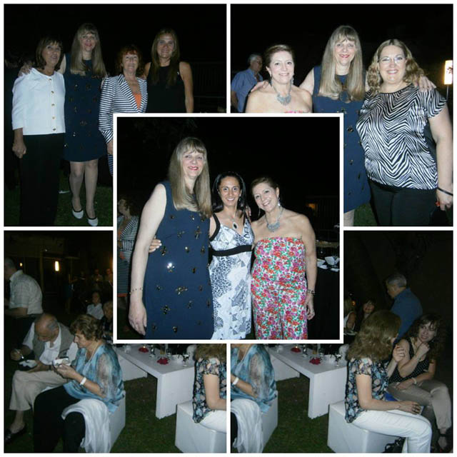 BRINDIS 2
