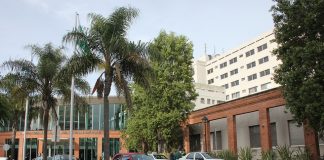 Contienen a pacientes con melanoma y su núcleo familiar