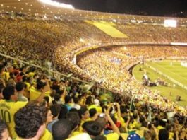Si viajás al Mundial de fútbol de Brasil aprendé cómo cuidarte del sarampión