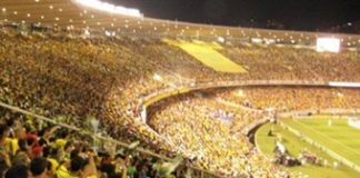 Si viajás al Mundial de fútbol de Brasil aprendé cómo cuidarte del sarampión