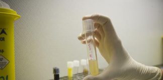 Congelación de óvulos: lo que toda mujer necesita saber