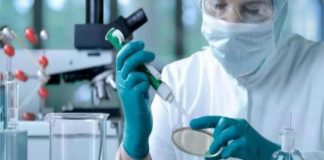 Diabetes: crean células productoras de insulina