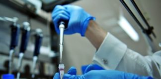 Fabrican vacuna contra el dengue