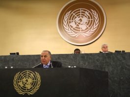 Enfermedades no transmisibles: Argentina expuso avances ante la ONU
