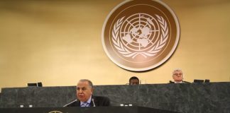 Enfermedades no transmisibles: Argentina expuso avances ante la ONU