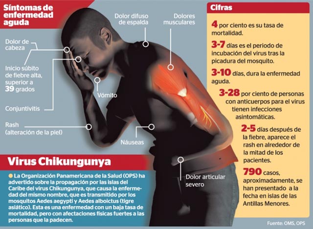 Chikungunya significa doblarse por el dolor.