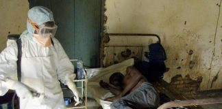 Zmapp, ¿el fármaco para combatir el virus mortal del Ebola?