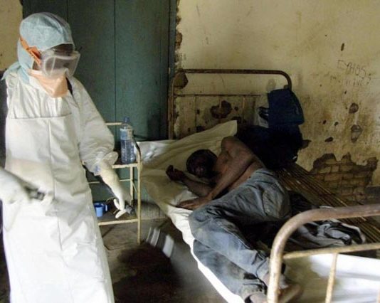 Zmapp, ¿el fármaco para combatir el virus mortal del Ebola?