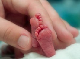 Semana del Prematuro, lo que hay que saber