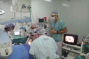 CORNEA 1