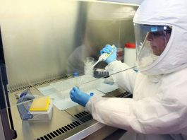 Argentina desarrolló un método para diagnosticar casos de Ébola