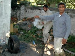 Las lluvias y el calor incrementan el riesgo de hantavirus