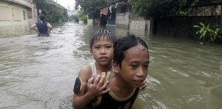 Leptospirosis: cómo prevenirla