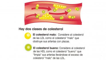 infografía de Infobae