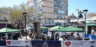 Corazón Saludable: más de 200 controles gratuitos para prevenir enfermedades cardiovasculares