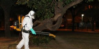 Dengue: San isidro realiza amplios operativos de prevención