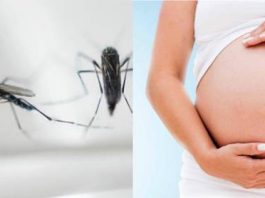 Recomendaciones a embarazadas que visiten países con epidemia del virus zika