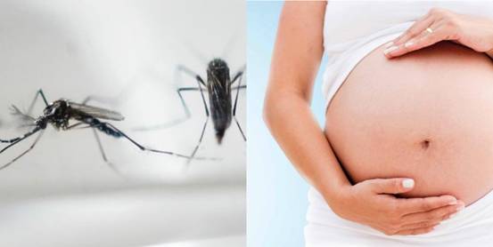 El virus zika está asociado a malformaciones congénitas en bebés