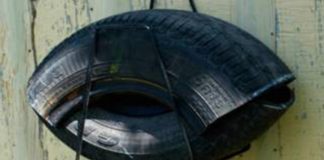 “Ovillantas”, la nueva trampa contra el mosquito del dengue