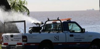 Por la ola de mosquitos «charqueros» intensifican operativos de fumigación