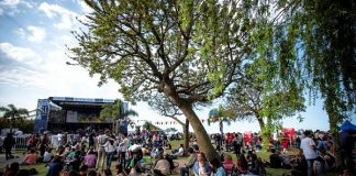 Alertas de primavera: cómo prevenir el síndrome urémico hemolítico y el dengue