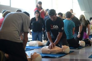 tigre rcp 1