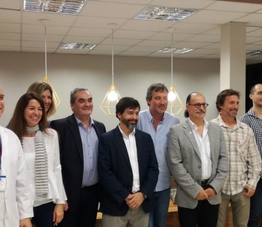 Un páncreas artificial mejorará la vida de pacientes con diabetes tipo 1