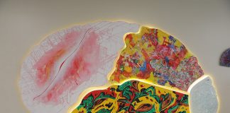 La Fundación Rossi donó obras de arte al Hospital Central de San Isidro