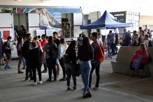fiebre amarilla