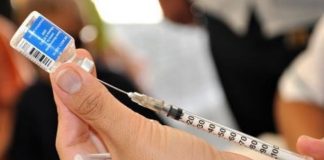 Aseguran que el riesgo de un brote de fiebre amarilla en la Argentina es casi nulo