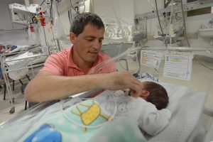 tigre parto 1