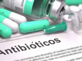 Nueva alternativa terapéutica para luchar contra bacterias multirresistentes
