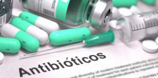 Nueva alternativa terapéutica para luchar contra bacterias multirresistentes