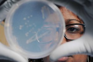 RESISTENCIA ANTIBIOTICOS 1