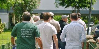 San Fernando previene y brinda recomendaciones para evitar la aparición de roedores