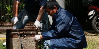 Para prevenir el Hantavirus, San Isidro continúa con los operativos de desratización