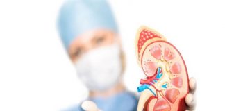 Factores que pueden afectar los riñones