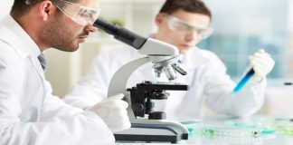 Nuevos antibióticos para hacer frente a bacterias multirresistentes