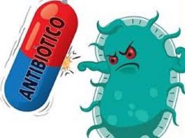 Resistencia a los antibióticos: emiten recomendaciones para evitar una crisis desastrosa