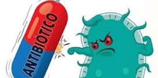 Resistencia a los antibióticos: emiten recomendaciones para evitar una crisis desastrosa