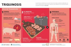 triquinosis