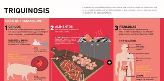 Triquinosis, lo que tenés que saber