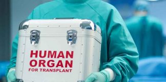 En el primer cuatrimestre del año se realizaron 155 trasplantes más que en 2018