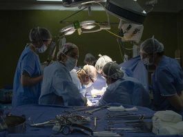 El Hospital Garrahan lleva realizados más de 2.500 trasplantes