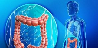 Declaran de interés nacional una app para la detección temprana de cáncer de colon