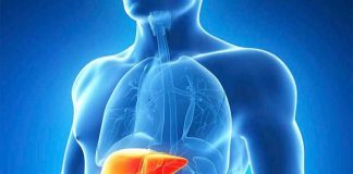 Se estima que más de un millón de personas viven en la Argentina con hepatitis B y C