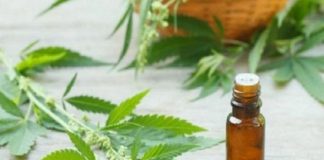 Las farmacias bonaerenses podrán importar aceite de cannabis para pacientes con epilepsia refractaria