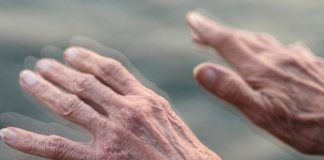 El origen del Parkinson estaría en el intestino