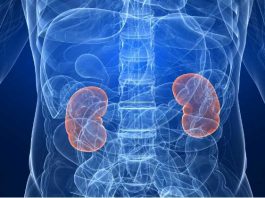 Nueva alternativa terapéutica para un tipo de cáncer de riñón