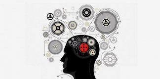 29/10 – Día Mundial del ACV . Estudio de Fleni «Se producen entre 50 y 60 mil casos nuevos de ACV por año en Argentina»